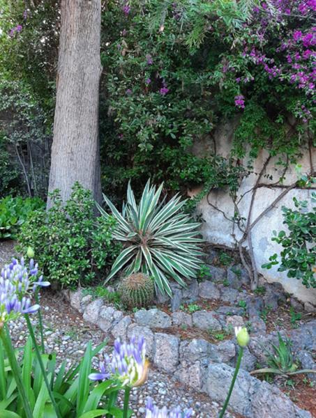 Casa Gazzano Holiday home
