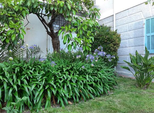 Holiday home Casa Gazzano Imperia