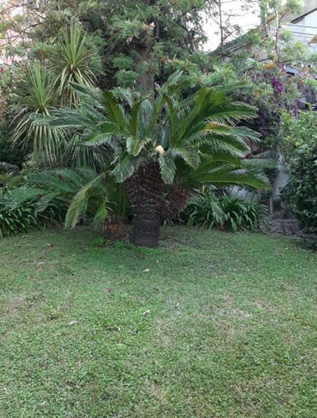 Vakantiehuis Casa Gazzano *