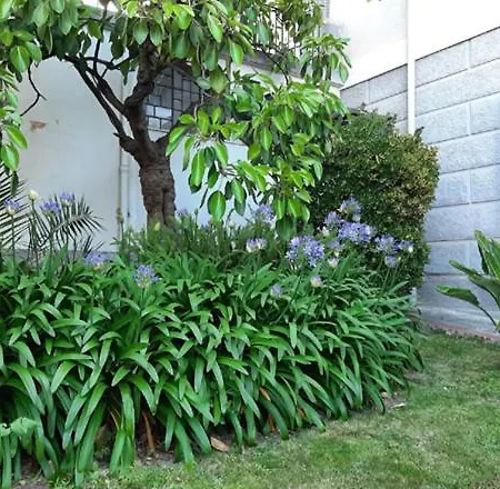 Villa Casa Gazzano Imperia Exterior foto